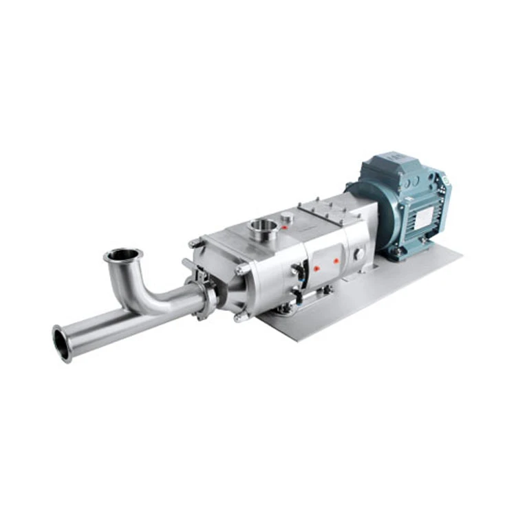 Double Screw Stainless Steel Pump With Flanged Hopper